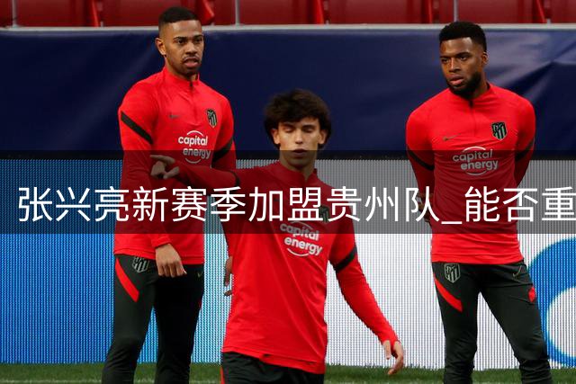 张兴亮新赛季加盟贵州队 能否重回CBA引关注
